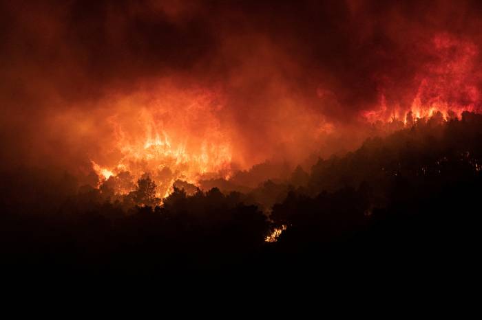 Türkiye offers assistance to Greece in battling massive wildfire near Athens 