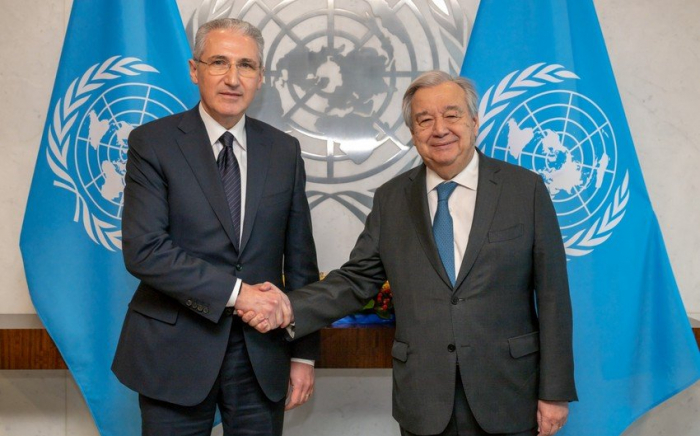 COP29 president meets with UN Secretary General