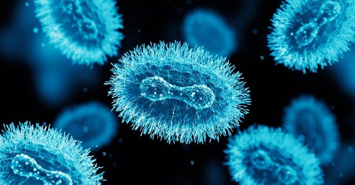 Mpox ‘not the new COVID’, effective control measures exist: WHO 