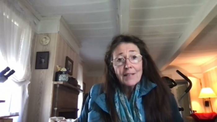  Climate challenges ahead: What to expect from COP-29 in Baku - INTERVIEW 