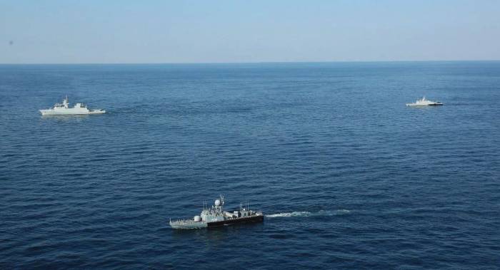 Pakistan, Oman conduct joint naval drill 