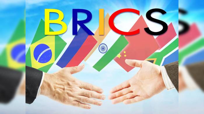 Russia backs Azerbaijan's application for BRICS membership 