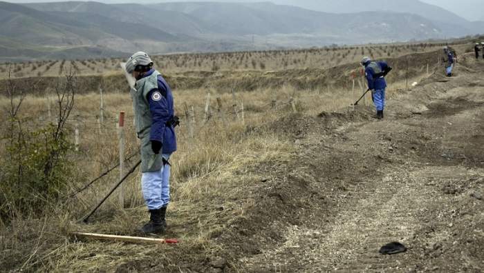 Azerbaijan defuses nearly 650 landmines in liberated areas over past week