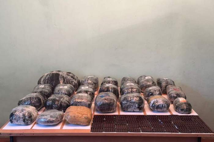 Azerbaijan prevents smuggling of drugs from Iran 