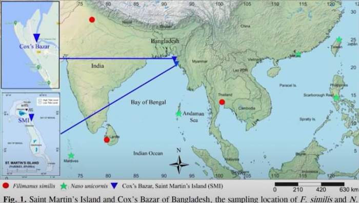 News about -  Causes of the colour revolution in Bangladesh 