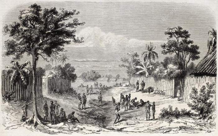  Colonial deceit: How France manipulated the idea of freedom 