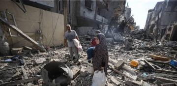 UAE delivers humanitarian aid to displaced families in Gaza 