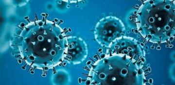 COVID-19 may soon be on horizon with more severe variants, WHO warns