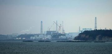 No abnormal situations at Japanese NPPs after earthquake — operators 