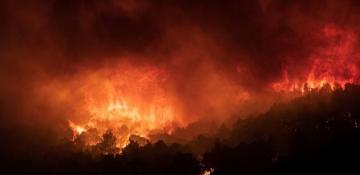 Türkiye offers assistance to Greece in battling massive wildfire near Athens 