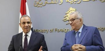 Egypt calls Gaza truce 'key' to avoid regional conflict 