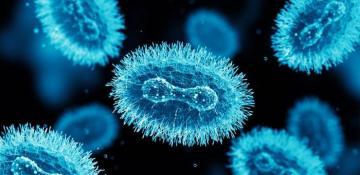 Mpox ‘not the new COVID’, effective control measures exist: WHO 