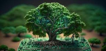 China issues guidelines for coordinated digital, green transformation 