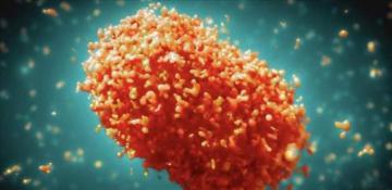 Pakistan and Sweden confirm first cases of Mpox virus 