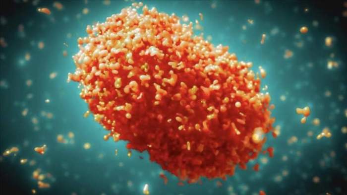 Pakistan and Sweden confirm first cases of Mpox virus 