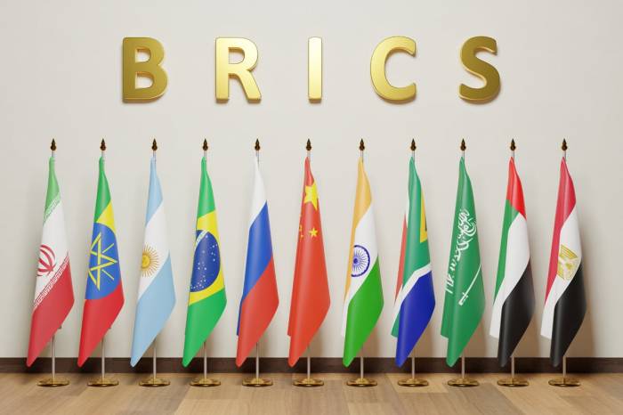 Türkiye bids to join BRICS