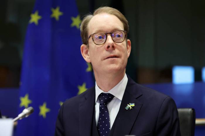 Sweden's Foreign Minister announces unexpected departure from politics 