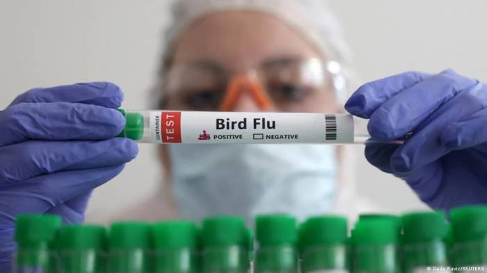 US detects human case of bird flu in Missouri