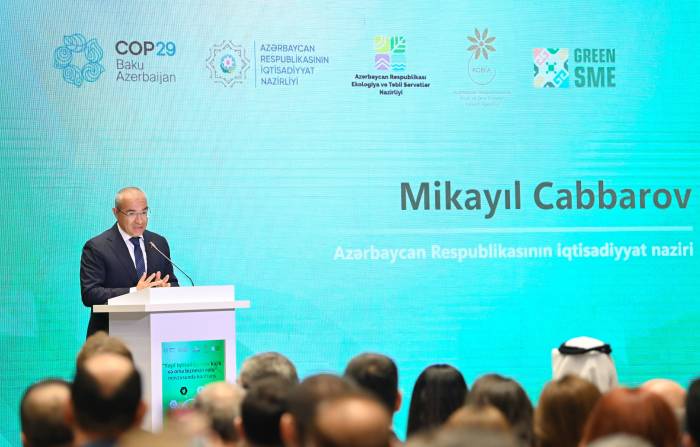 Azerbaijan aims to boost renewable energy share to 30% by 2030
