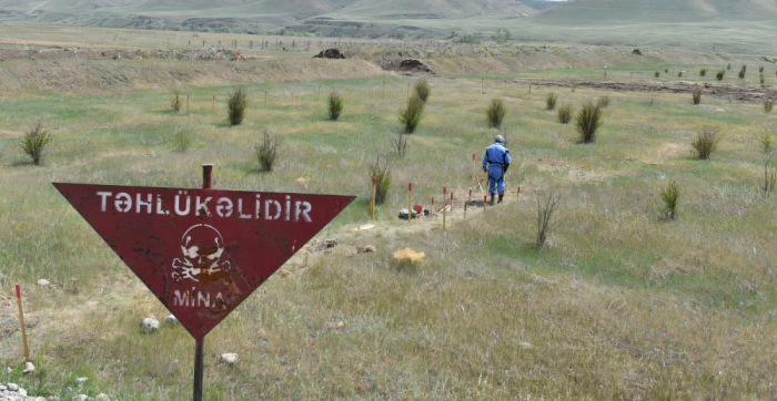 Azerbaijan defuses over 80 landmines, nearly 1,600 UXOs in liberated areas over past week