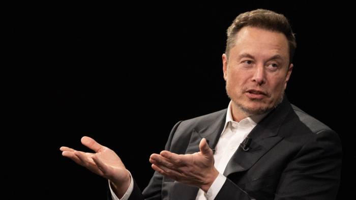 Elon Musk criticizes Democrats on Immigration
