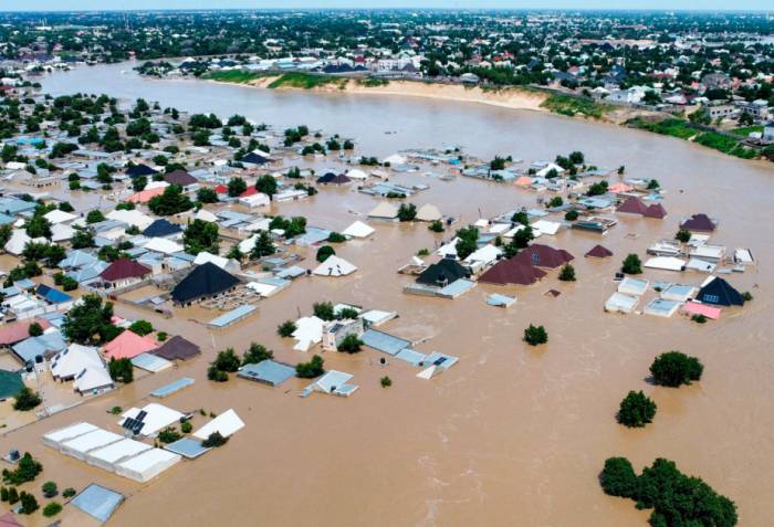 Floods in Nigerian state cause zoo animals to escape 