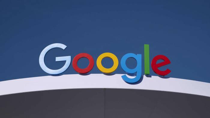 Top EU regulator initiates probe into Google's AI development
