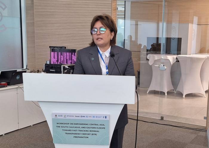 Preparations for upcoming COP29 in Baku highlighted in Astana