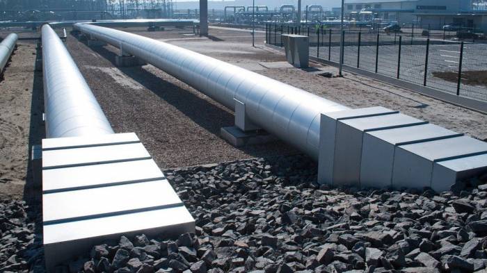 Russia approves petroleum pipeline construction in Congo to boost African influence