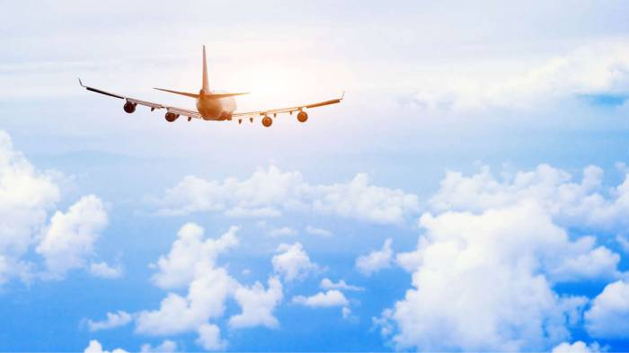 Several air carriers cancel flights to Israel