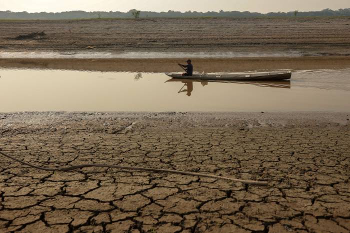 Amazon basin rivers reach record-low water levels amid severe drought