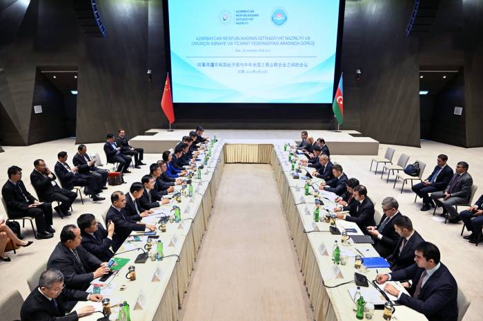 Azerbaijan, China mull joint initiatives in green energy transition 