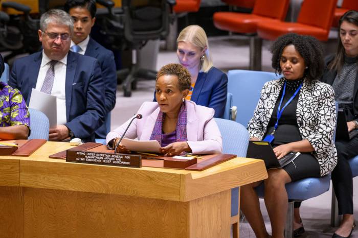 UN calls for ceasefire as Sudan conflict escalates 