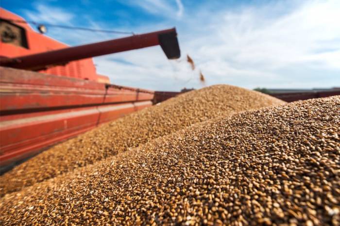 Kazakhstan seeks to boost grain exports to Azerbaijan 