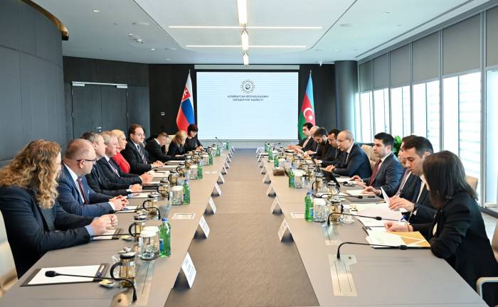 Azerbaijan, Slovakia explore joint activities in energy sector