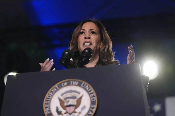 Harris to campaign on Mexico border to show strong stance on immigration 