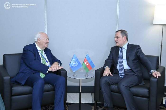 Azerbaijani FM briefs UNAOC High Representative on peace process with Armenia