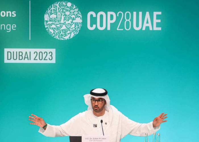 UAE to launch national climate plan under Paris agreement ahead of COP29 