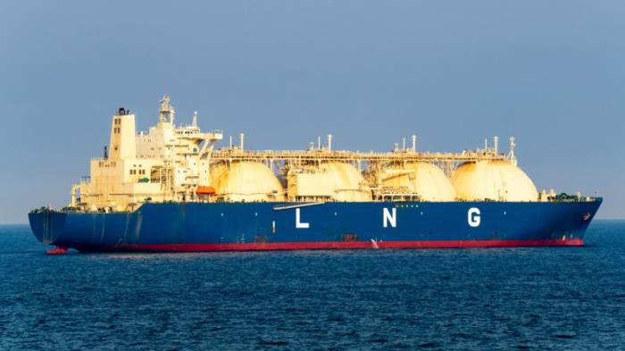 Russia sticks to LNG production goals despite Western sanctions