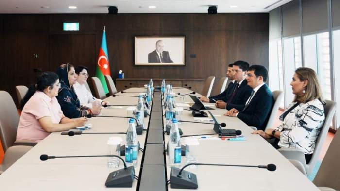 Azerbaijan attaches importance to green economy development – deputy minister 
