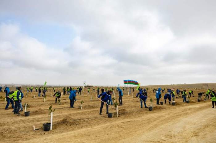 News about -  Azerbaijan’s green strategy: Baku at the start of COP-29 