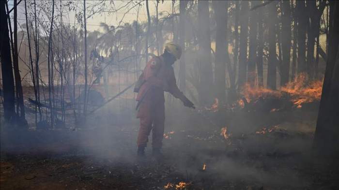 Peru declares state of emergency as forest fires devastate three regions