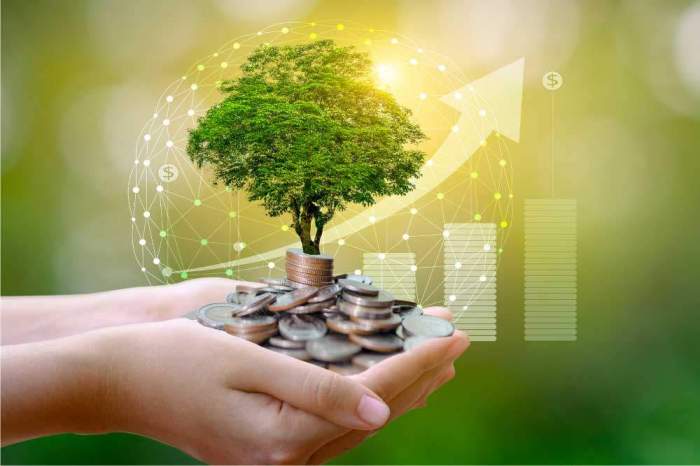 Pakistan to showcase bankable green initiatives at upcoming COP29 in Baku, says official 