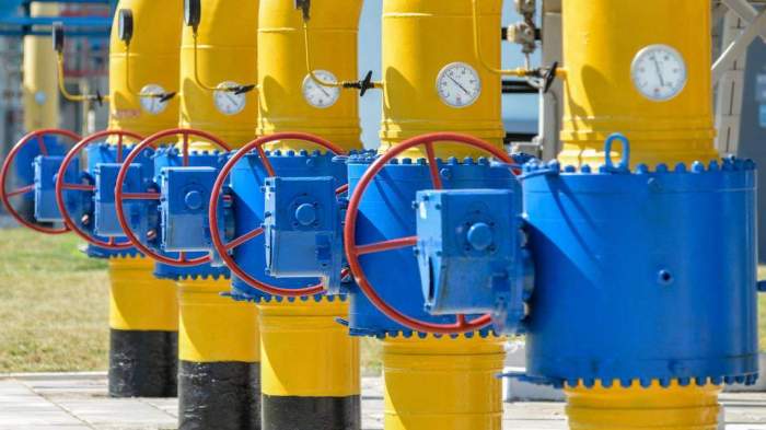 Russia faces $6.5B annual loss after Ukraine halts gas transit 