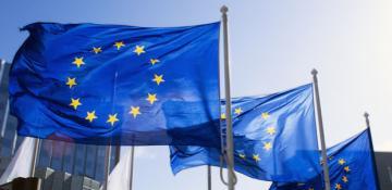 Eurozone GDP growth downgraded 