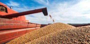Kazakhstan seeks to boost grain exports to Azerbaijan 