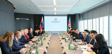 Azerbaijan, Slovakia explore joint activities in energy sector