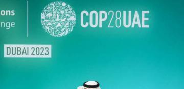 UAE to launch national climate plan under Paris agreement ahead of COP29 