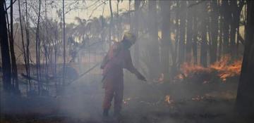 Peru declares state of emergency as forest fires devastate three regions