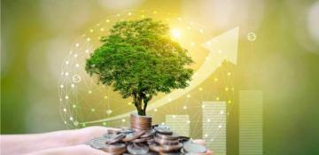 Pakistan to showcase bankable green initiatives at upcoming COP29 in Baku, says official 